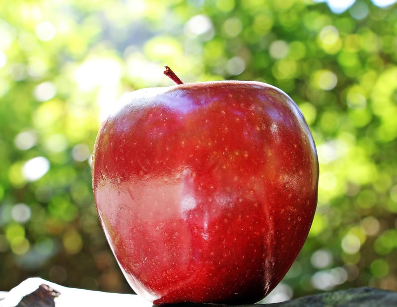 Fresh Apple